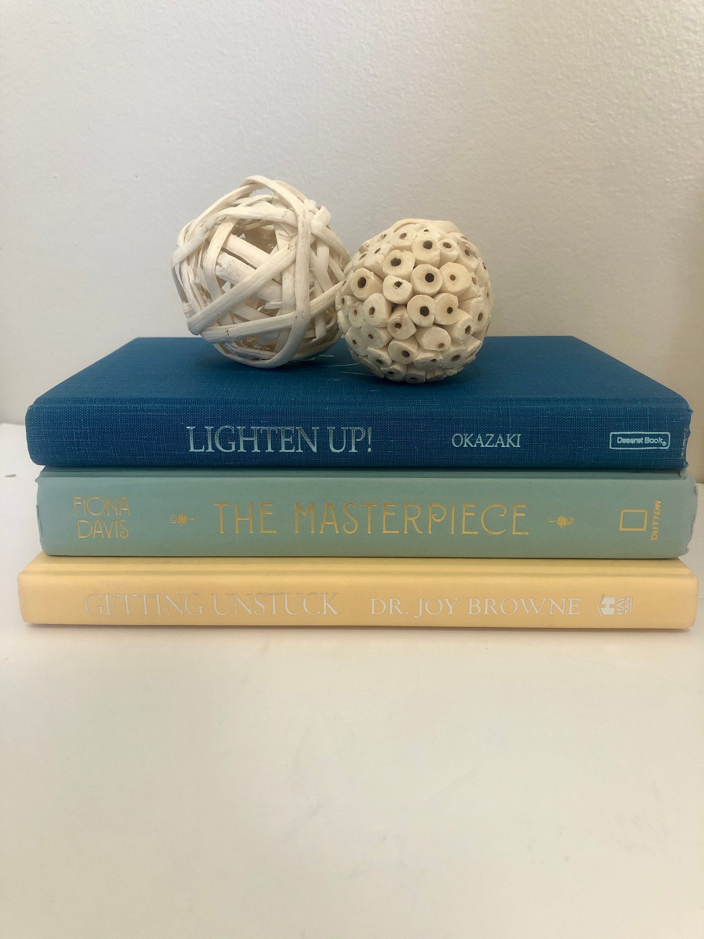 Decorative blue and white books for bookshelf or coffee table Etsy