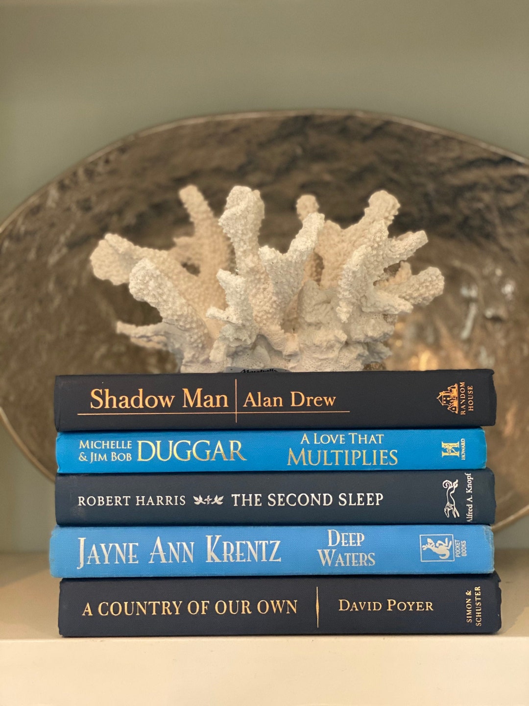 Bundle of Blue Books Blue Book Stack Blue Book Set Bundle Etsy