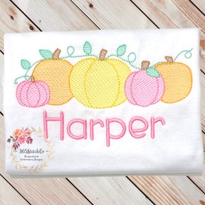 May include: A white t-shirt with an embroidered design of five pumpkins with green vines and leaves. The pumpkins are orange, yellow, and pink. The name "Harper" is embroidered in pink below the pumpkins.