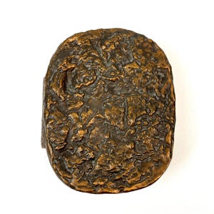 May include: A bronze-colored, textured metal object with an oval shape. The surface has a rough, organic texture with varying shades of brown and gold. The object appears to be a decorative piece or a functional item, possibly a handle or a clasp.