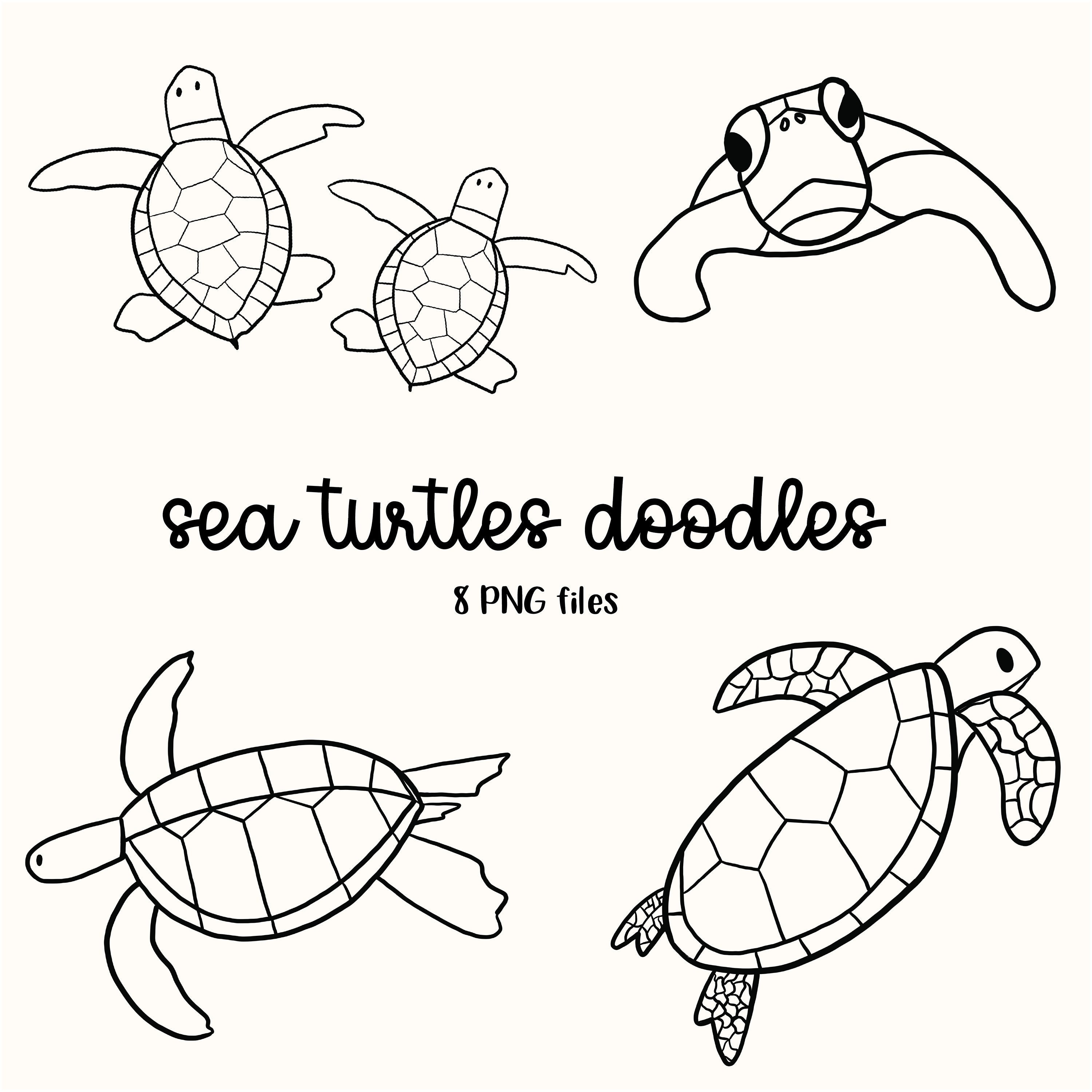 Sea Turtles Doodles Sea Animals Graphics Turtle Black and - Etsy