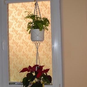 Double Plant Hanger / Double Plant Holder