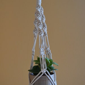 May include: A white macrame plant hanger with a wooden ring at the top, holding a small potted plant with green leaves.