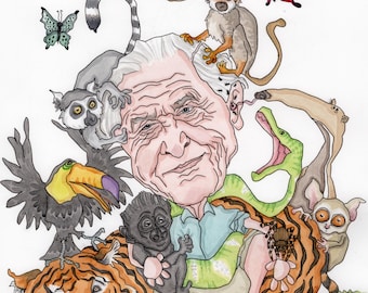 David Attenborough caricature