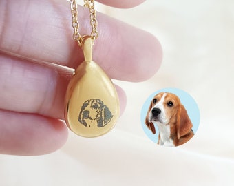Custom Teardrop Urn Necklace,Pet Urn Necklace,Pet Portrait Memorial Jewelry,Ashes Jewellery,Ashes Necklace,Pet Ash Holder