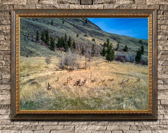 Deer Herd Print