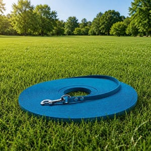 May include: A long, flat, blue dog lead coiled into a circular shape. The lead features a silver-toned metal swivel snap hook at one end, secured with two small metal rivets, providing a durable connection point for a collar or harness.