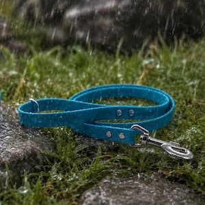 Correa con clip BioThane® auténtica / Impermeable / Sin olor / Variedad de longitudes / 19 mm de ancho imagen 1