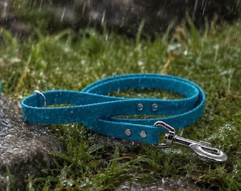 Genuine BioThane® Clip Lead | Waterproof | Odour Free | Choice of lengths 19mm wide