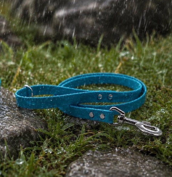 Genuine BioThane® Clip Lead | Waterproof | Odour Free | Choice of lengths 19mm wide