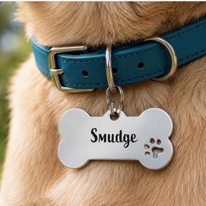 Placa de identificación para mascotas de acero inoxidable con forma de hueso y accesorios para collares de perros con forma de pata de perro.
