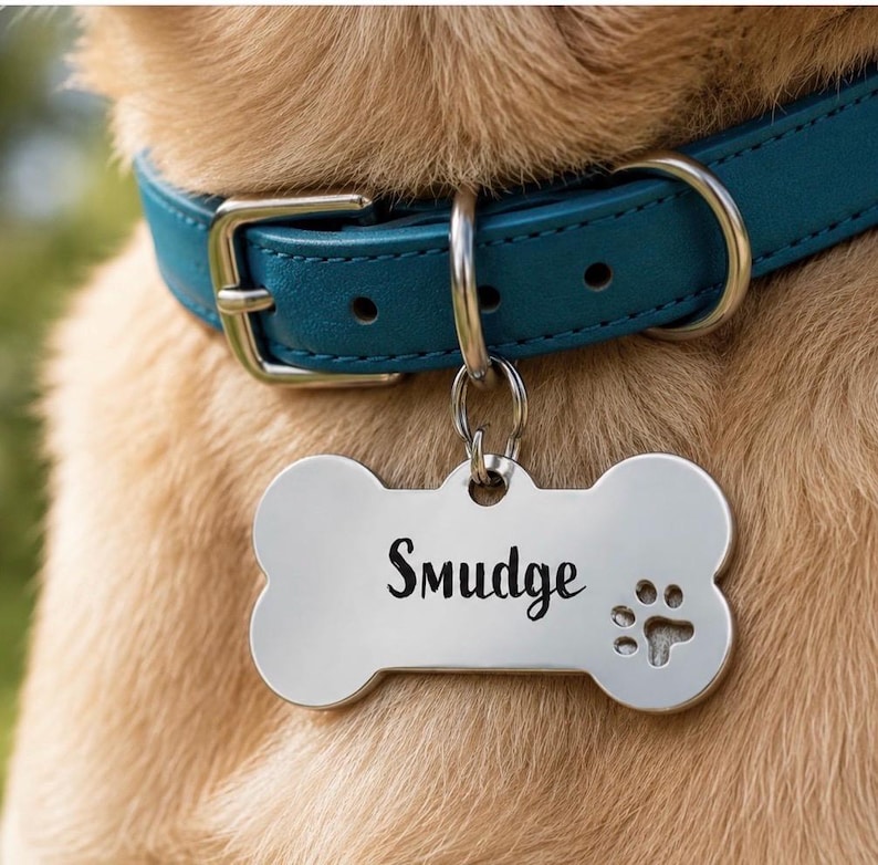 Stainless Steel Bone Pet ID Tag Dog Paw Collar Accessories bild 1