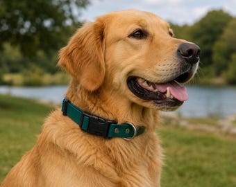 May include: A dark green dog collar featuring a black plastic side-release buckle and a silver-toned metal D-ring. The collar is secured with two silver rivets and is worn around the neck of a golden-coloured dog with its mouth slightly open.