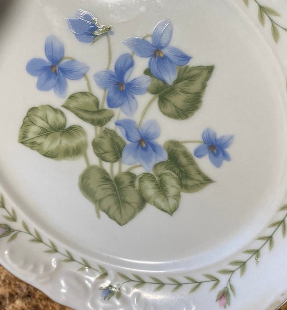 Tienshan Fine China TIEFLO Floriade China Blue Violets W Green