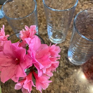 Pasabahce Circleware Doro Tumblers Water Glasses Set of 4 Make great Mother’s Day gifts.