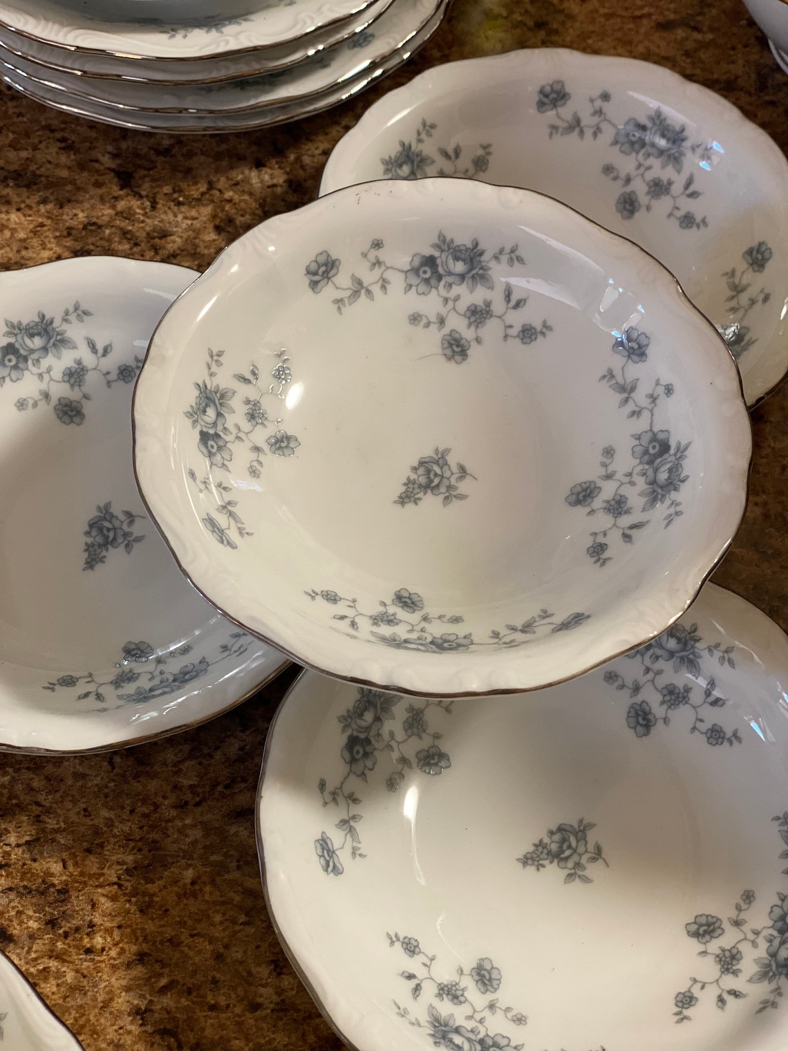 Johann Haviland Bavaria Germany Vintage Embossed China Blue Etsy