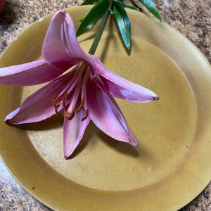 Pode incluir: Uma flor de lírio rosa com folhas verdes repousa sobre um prato cor de mostarda. As pétalas da flor são rosa claro com um centro rosa mais escuro. O prato redondo tem uma superfície ligeiramente texturizada. O fundo é castanho salpicado.