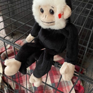 May include: A black and white stuffed monkey toy with a white fur hood. The monkey is sitting on a red and white checked blanket inside a black metal cage.