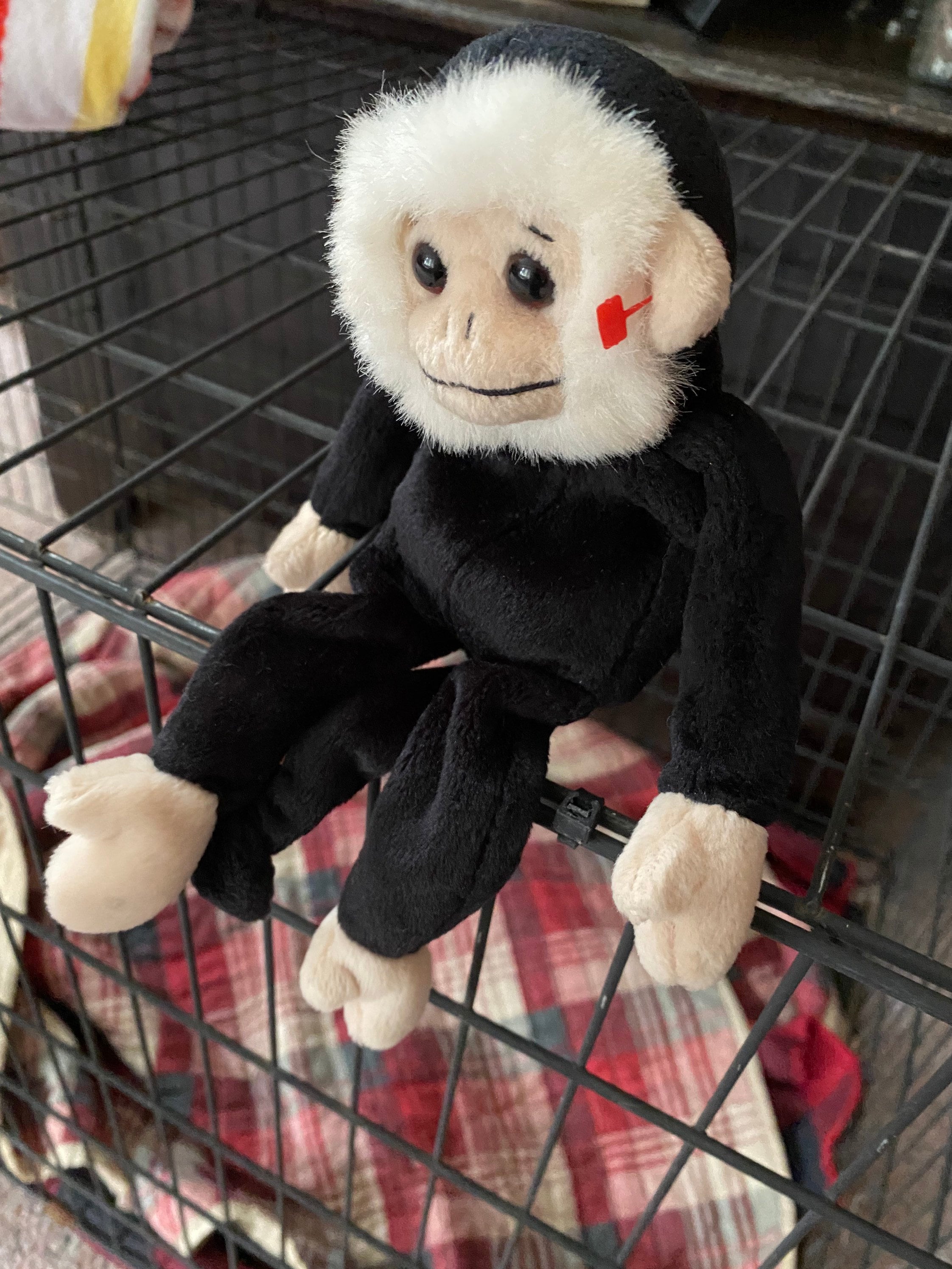 Rare Mooch the Spider Monkey 1998 TY Beanie Babies