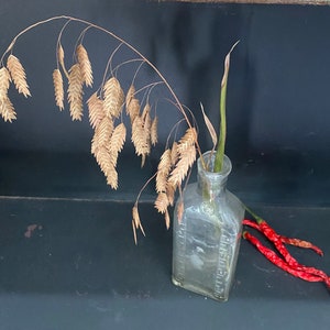 Puede incluir: Una botella de vidrio transparente con una superficie texturizada contiene hierbas secas y chiles rojos.