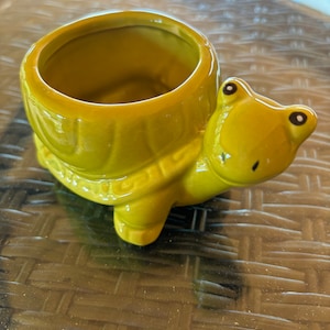 Może przedstawiać: Zielona ceramiczna doniczka w kształcie żółwia z małym otworem na górze. Żółw ma szczegółowy pancerz i przyjazną twarz.