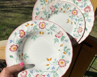 Victoriana Dinner Plates Set of 2 Japan 1988 Pink Rim Scalloped