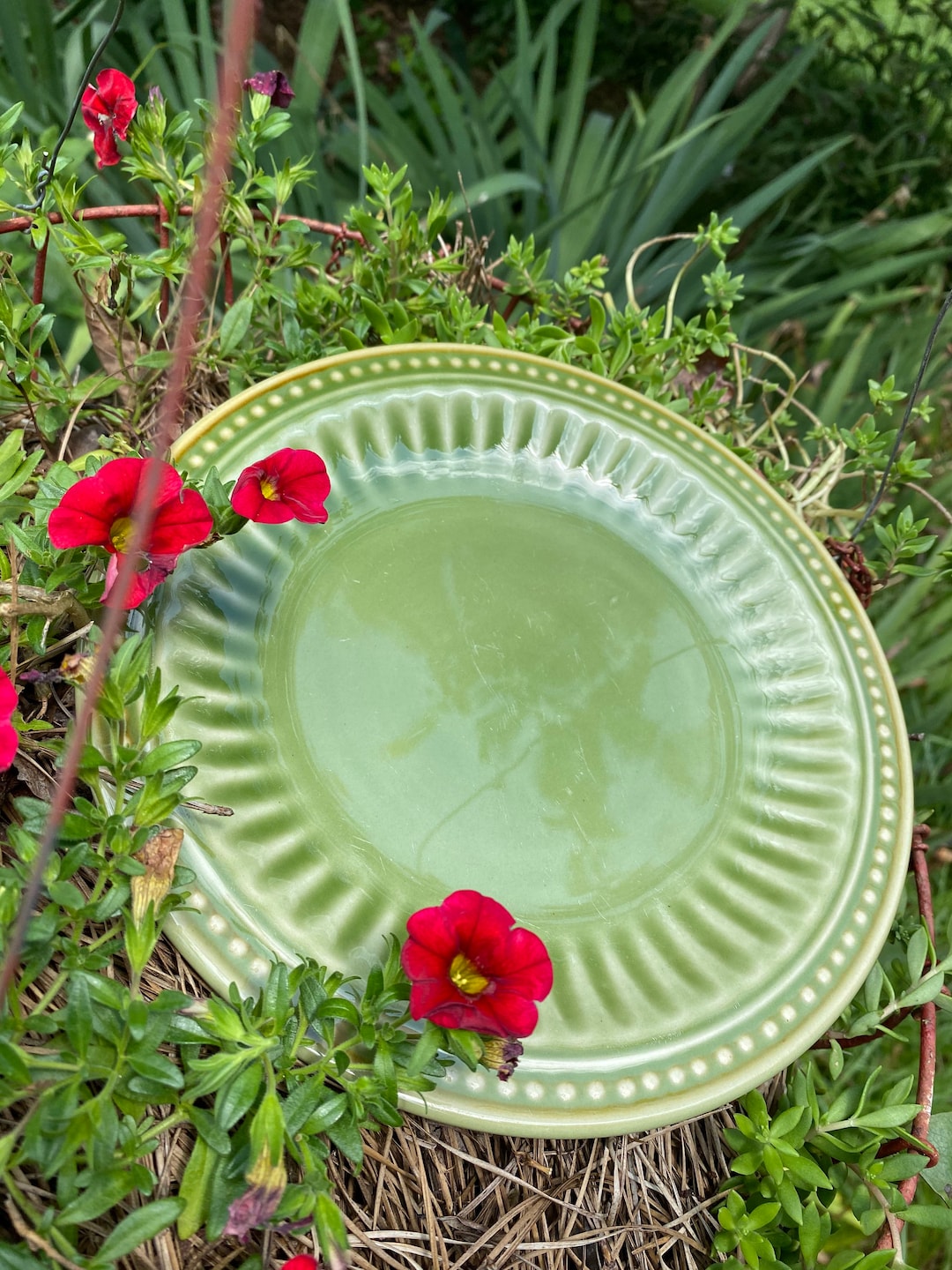 Gibson Housewares Juego de platos de postre/ensalada en relieve verde