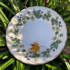 Nikko Blackberries Veggie Bowl Serving Bowl Fine Tableware Japan CarolinaMtnCompany