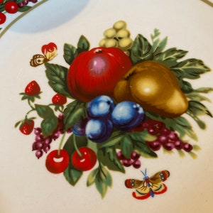 Vintage Eden Luncheon Teller 9 und 5/8 Zoll TableTops Unlimited Fruits Schmetterlinge Brown Stripes