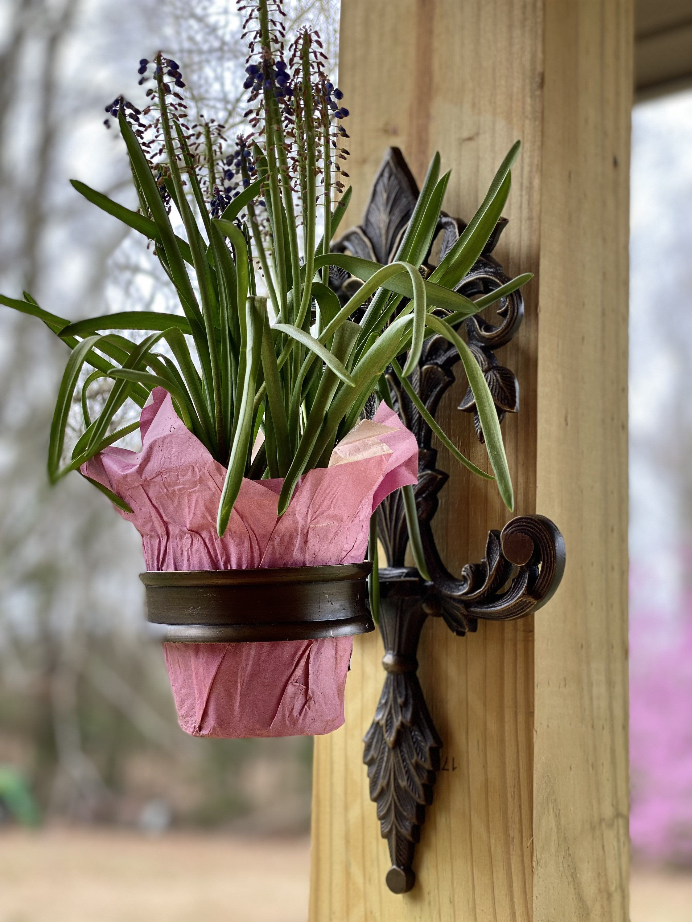 Iron Wall Decor Plant Holder Candleholder Potted Plant Holder Floral