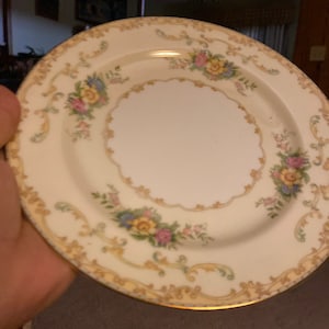 Noritake China Mimi Salatteller 2er Set Japan 98141 Mehrfarbig Goldrand