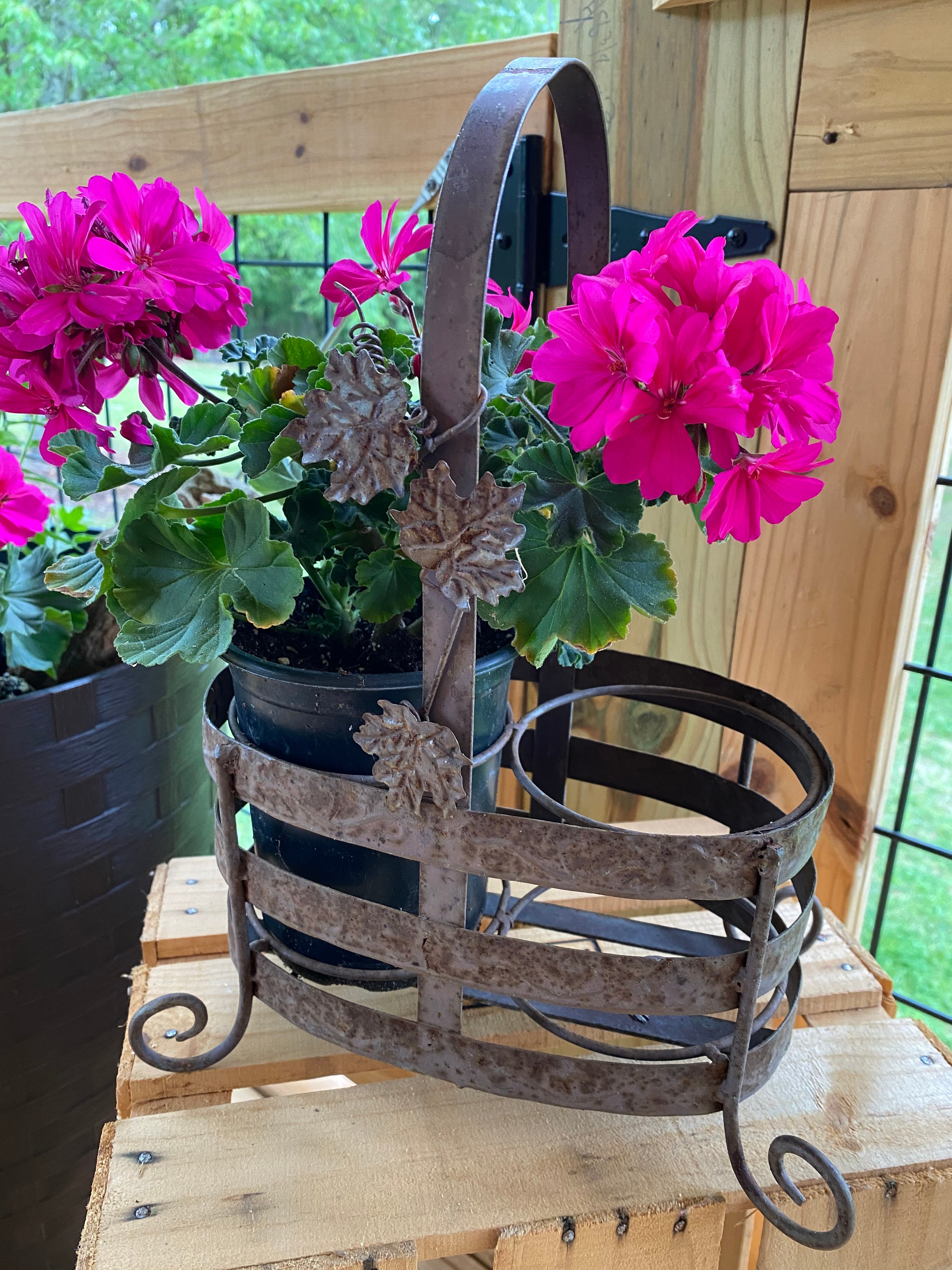 Rustic Wire Basket Footed W Handle. Metal Wine Carrier Plant Holder ...