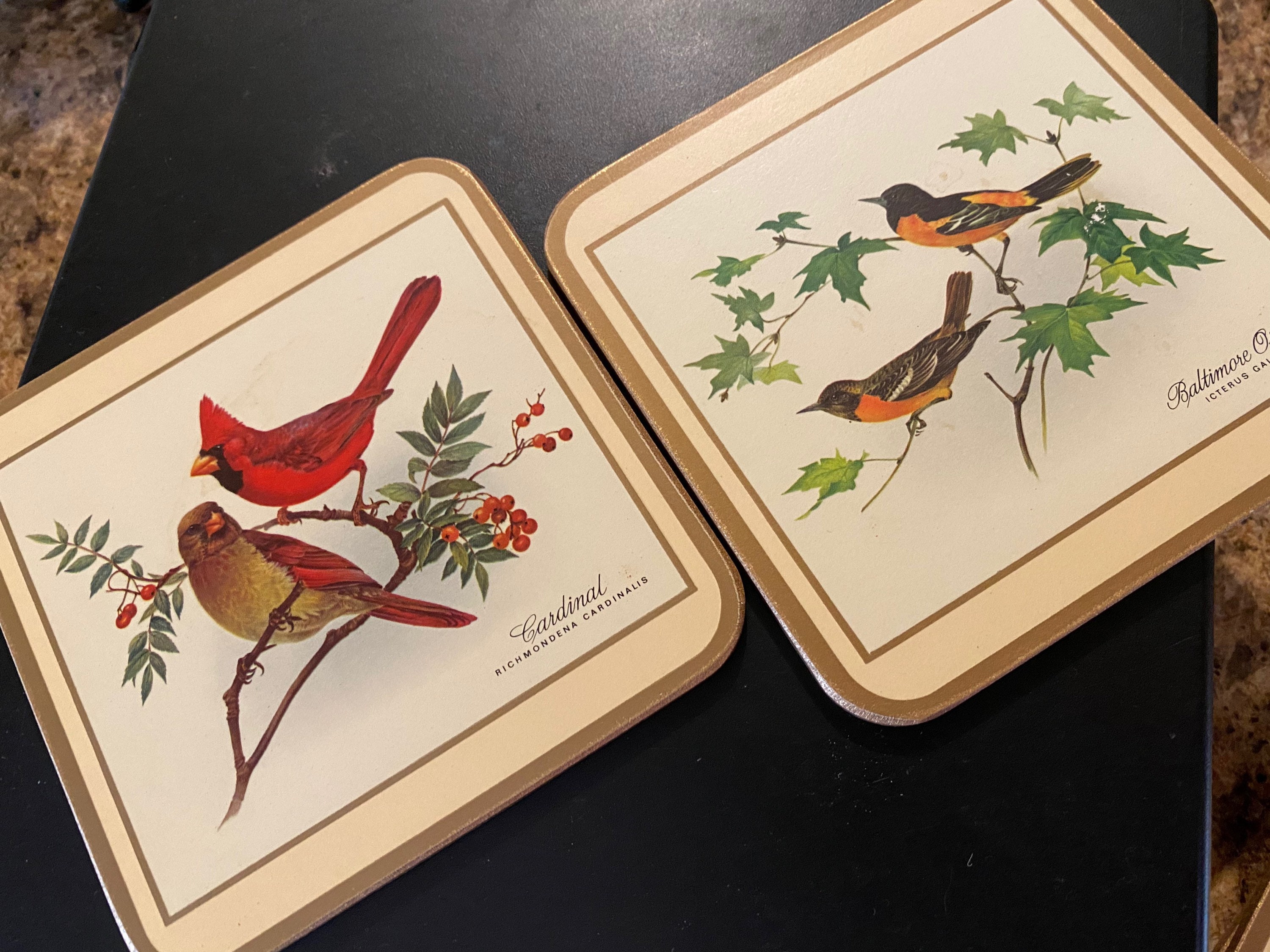 Pimpernel Traditional Coasters 017 North American Song Birds Cork Back