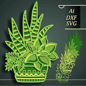 Succulente multistrato SVG/ Succulente tagliate a CNC/ Cactus tagliato su carta/ Compensato tagliato mandala 3D/ Succulente mandala/ Succulente fai da te/ Scatola delle ombre/ Decorazione per la casa