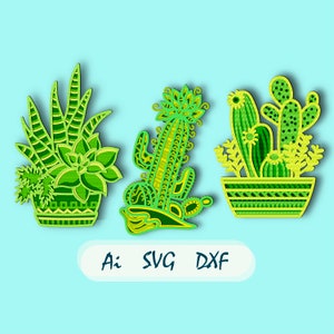 Cactus multistrato 3D SVG/ Cactus mandala 3D/ Cactus carta tagliata/ Compensato tagliato 3D mandala/ Cactus mandala/ Cactus tagliato al laser/ Cactus multistrato