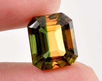 16 x 12 MM バイカラートルマリン 13.20 カラット ヴィンテージ