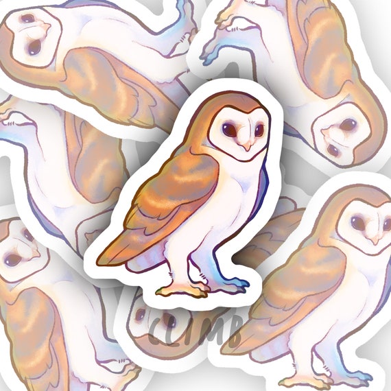 Cute Barn Owl Sticker, 2 Glossy Stickers, Kawaii, Pastel - Etsy