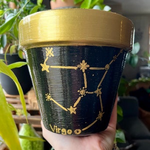 Constellation Planter