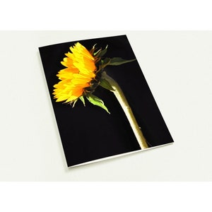 Sunflower Magic - Cumpleaños, Tarjetas de Felicitación - Pack de 10 Tarjetas Plegadas (sobres premium)