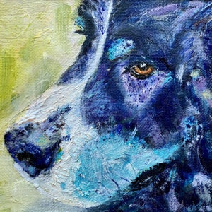 Berner Mt. Hund 6 x 6 Note Karte