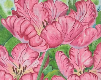 Tulipas, Barbara Fox