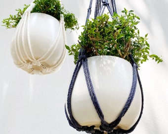 No Tassel Macrame Plant Hanger: Minimalist Indoor Garden Decor