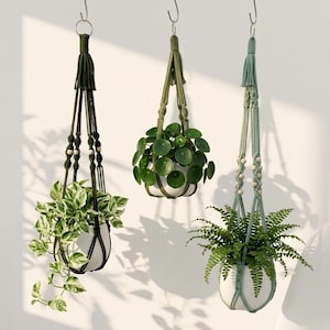 Modern Macrame Plant Hanger: Simple Indoor Hanging Planter
