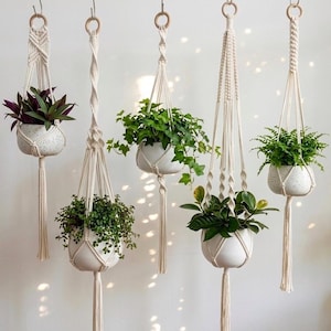Juego de colgadores de macramé para plantas, soporte para macetas con borlas, decoración minimalista para jardín interior.