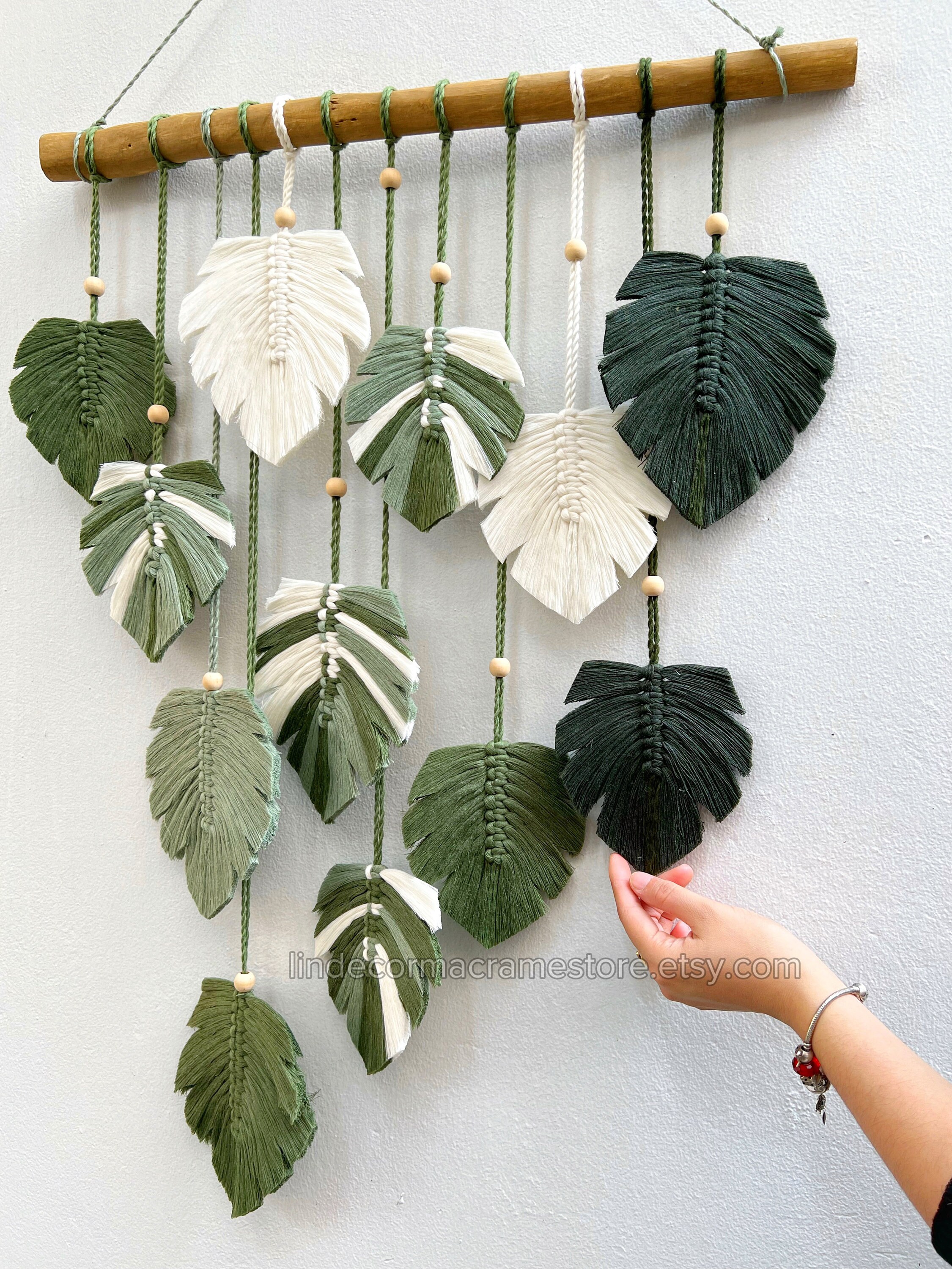 philodendron white stripe Philodendron cordatum 'Silver Stripe' 6