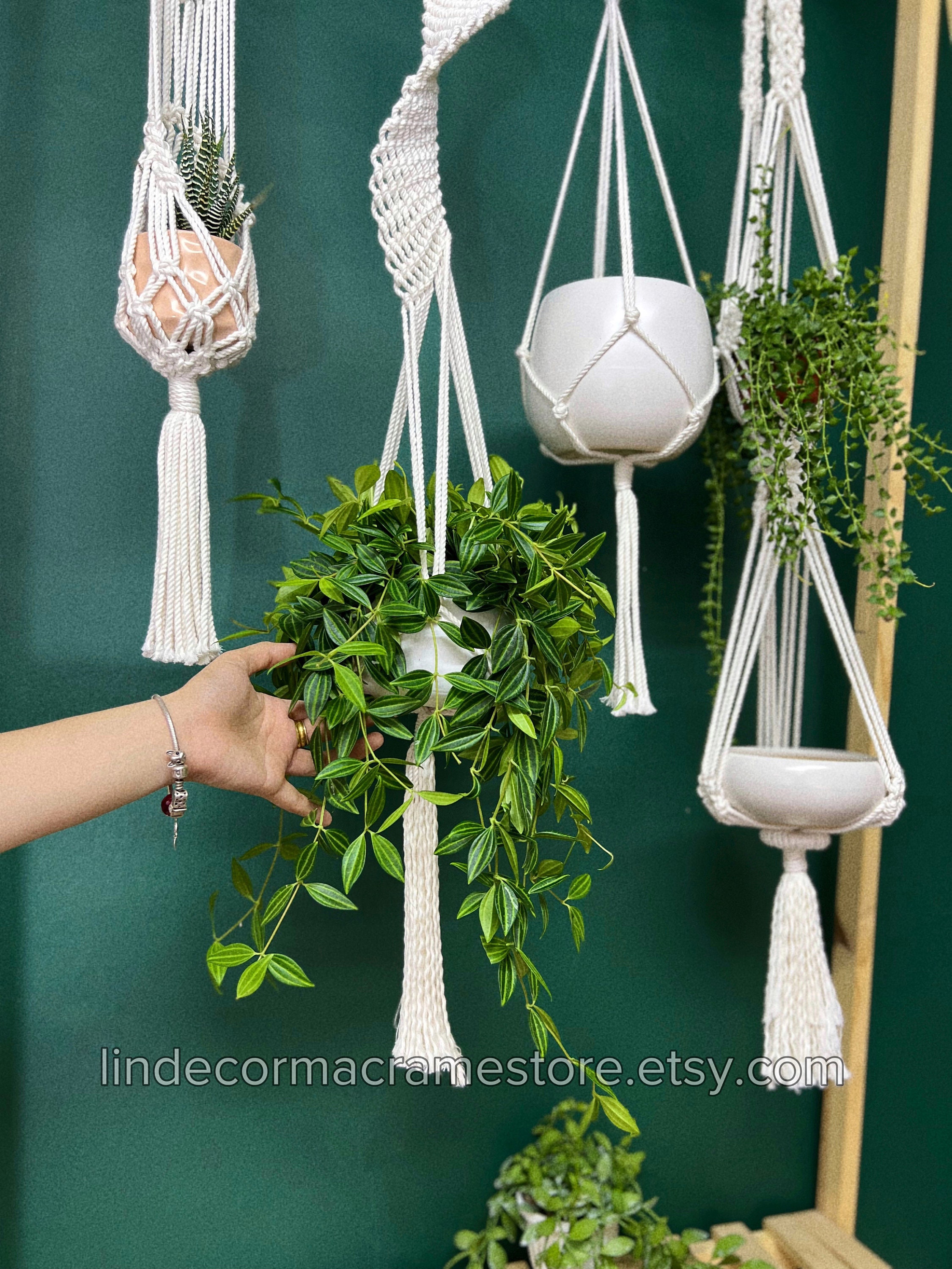 Macrame Plant Hanger Set: Boho Style, Indoor Garden Decor - Etsy