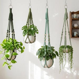 Puede incluir: Cuatro maceteros colgantes de macramé en tonos verdes y verde azulado, cada uno con un tipo diferente de planta de hojas verdes en una maceta de cerámica blanca. Los colgadores de macramé tienen detalles de cuentas de madera y están suspendidos de ganchos metálicos.