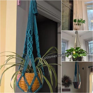 May include: A teal macrame plant hanger with a woven design, holding a ceramic pot with a spider plant. The hanger is suspended from a door frame. The image also shows other plant hangers with plants.