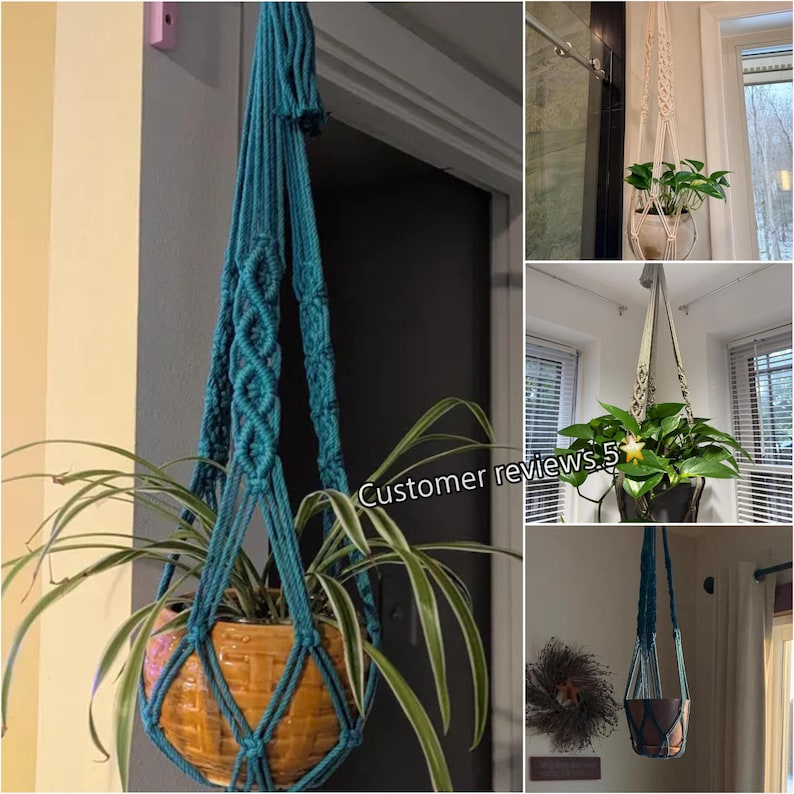 May include: A teal macrame plant hanger with a woven design, holding a ceramic pot with a spider plant. The hanger is suspended from a door frame. The image also shows other plant hangers with plants.