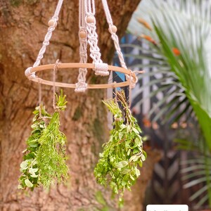 May include: A white macrame plant hanger with wooden beads hangs from a tree branch. Two bundles of fresh herbs are suspended from the hanger.